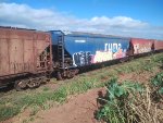 RUMO HTT-845209-1